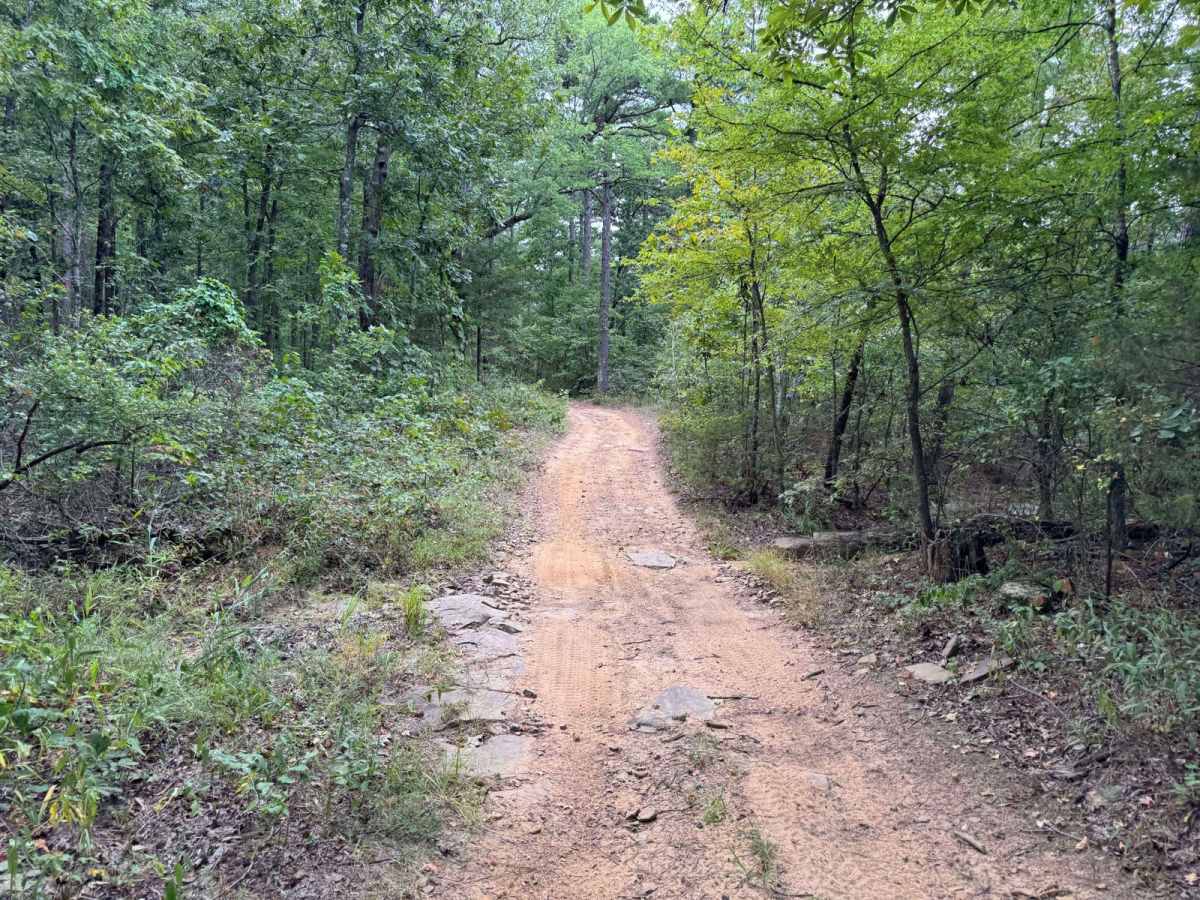 Huckleberry Mountain - Trail 2611 photo 5