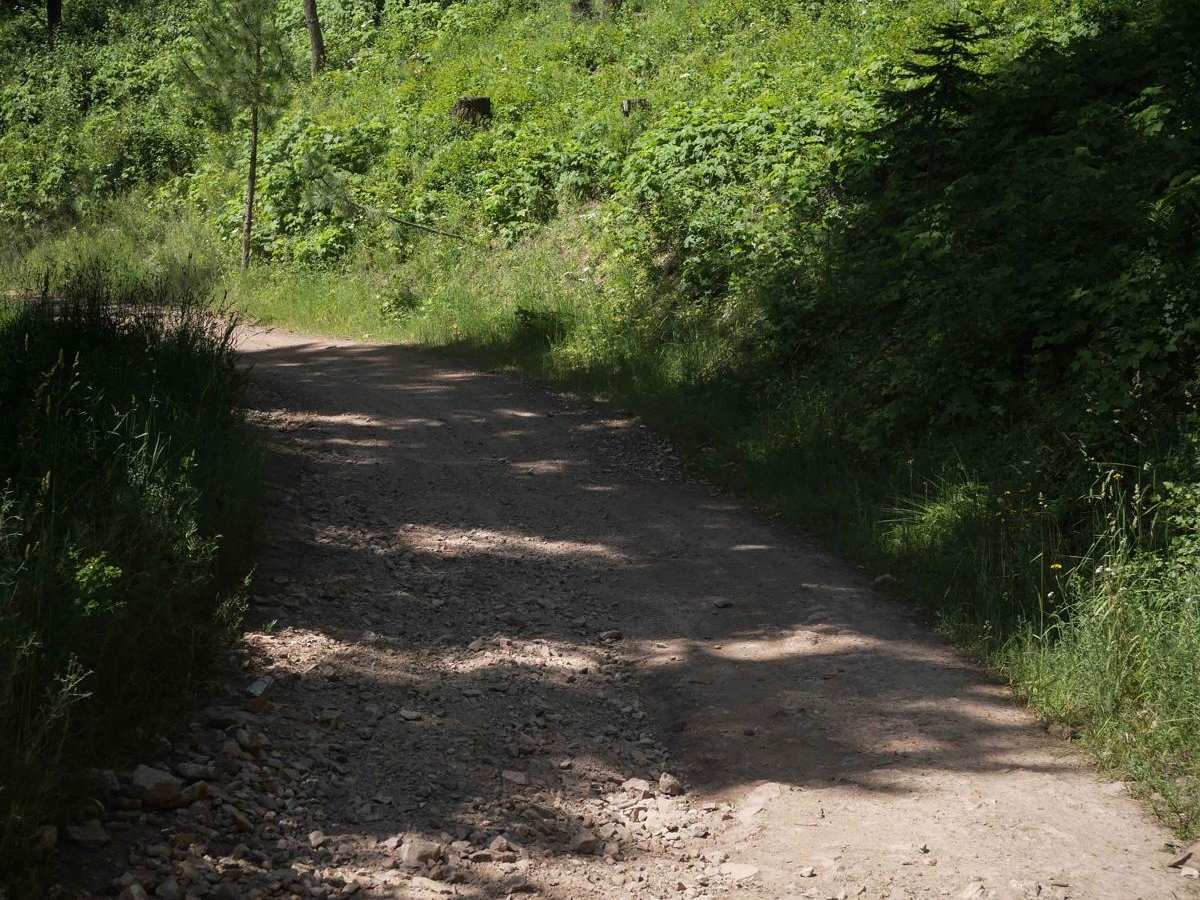 Canfield OHV photo 5