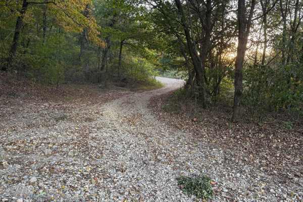 Assault Opossum Hill 16