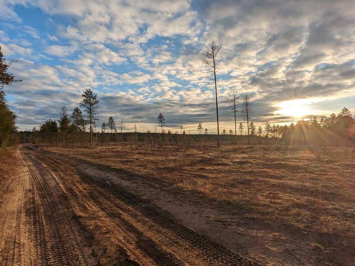 Oak Road trail photo