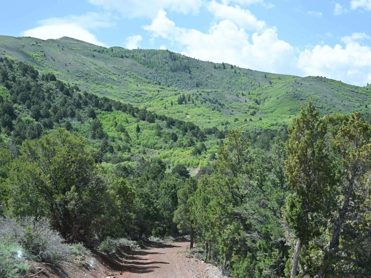 Cove Fort-Dry Creek/PST76 photo 4