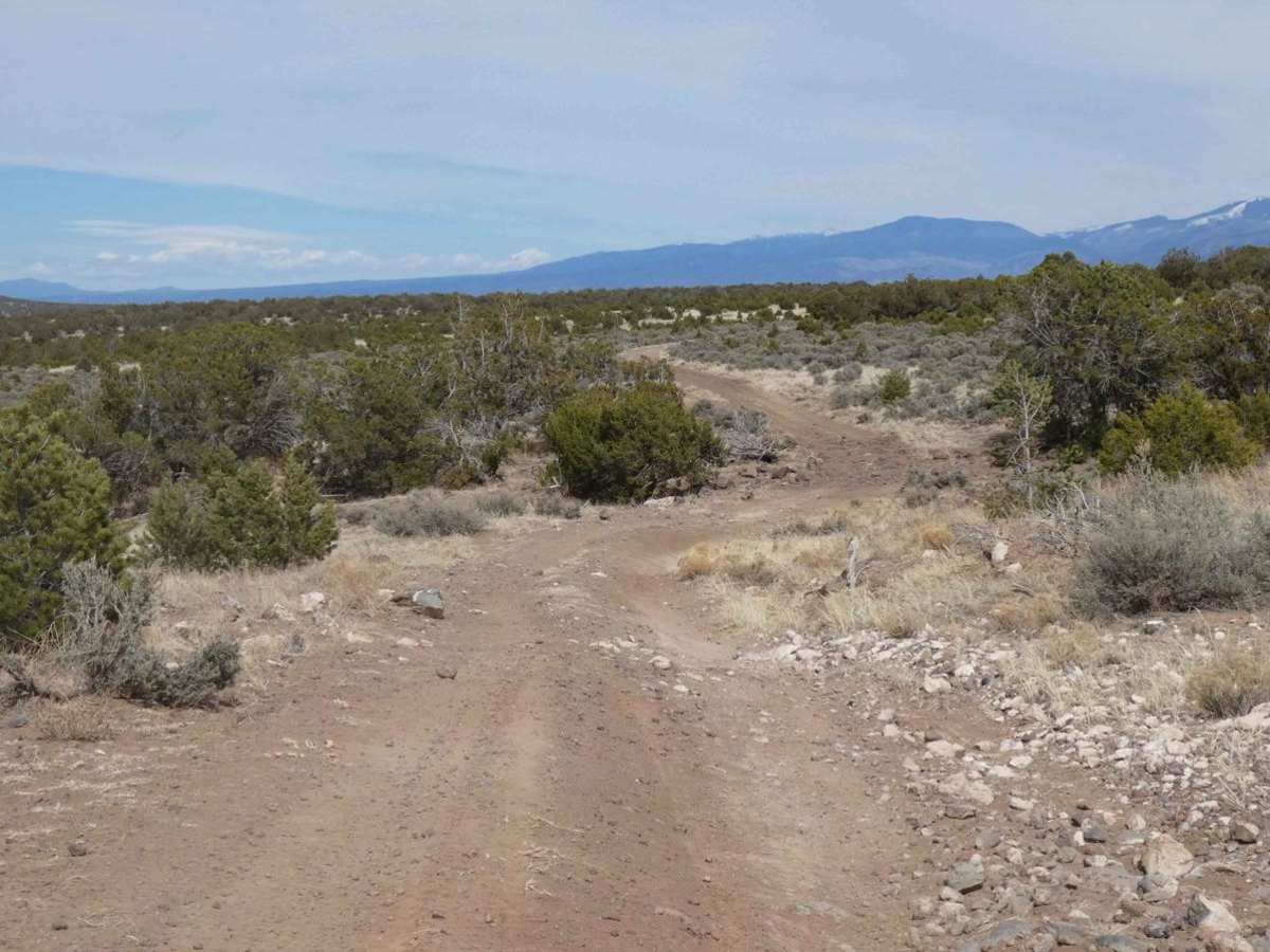 Twin Hills Loop photo 3