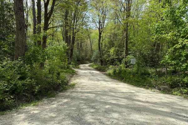 Harper Creek Road - FS 58