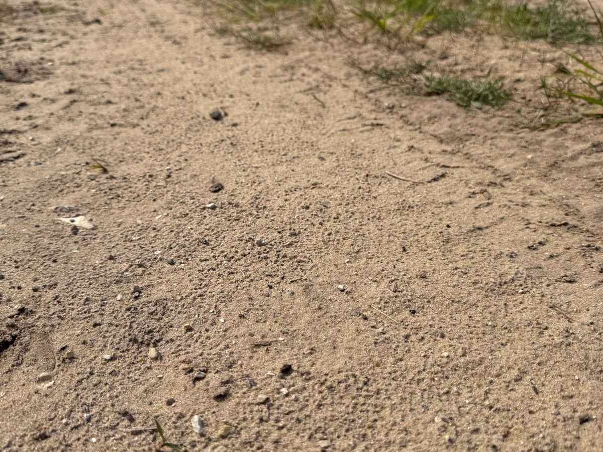 39-1/4 Trail photo 2