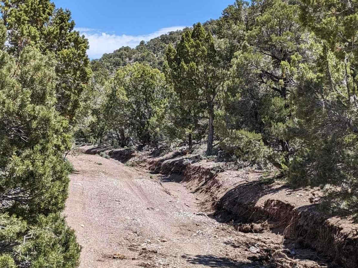 Lamerdorf Kiln Trail photo 5