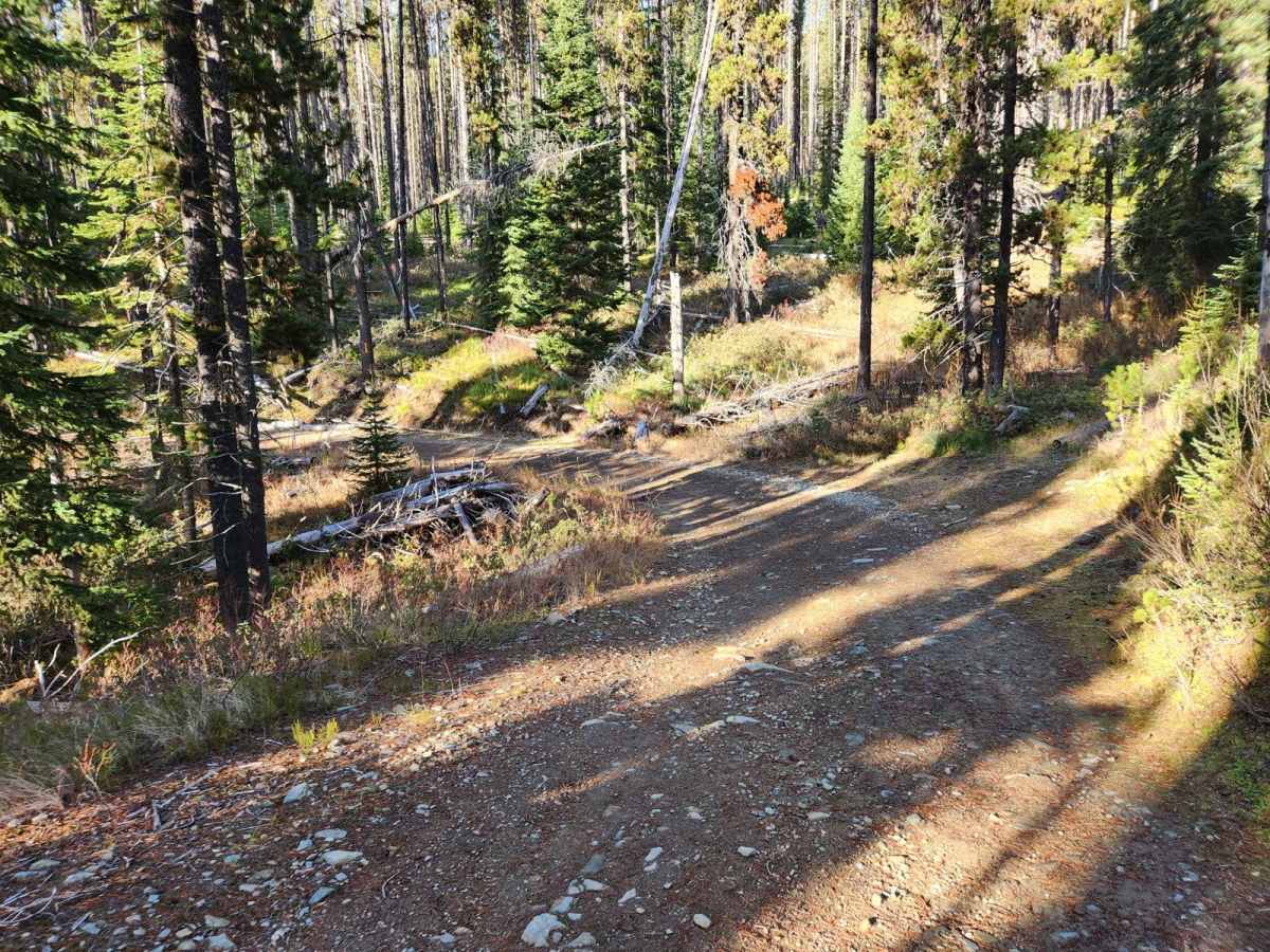 Upper Red Ives Creek photo 2