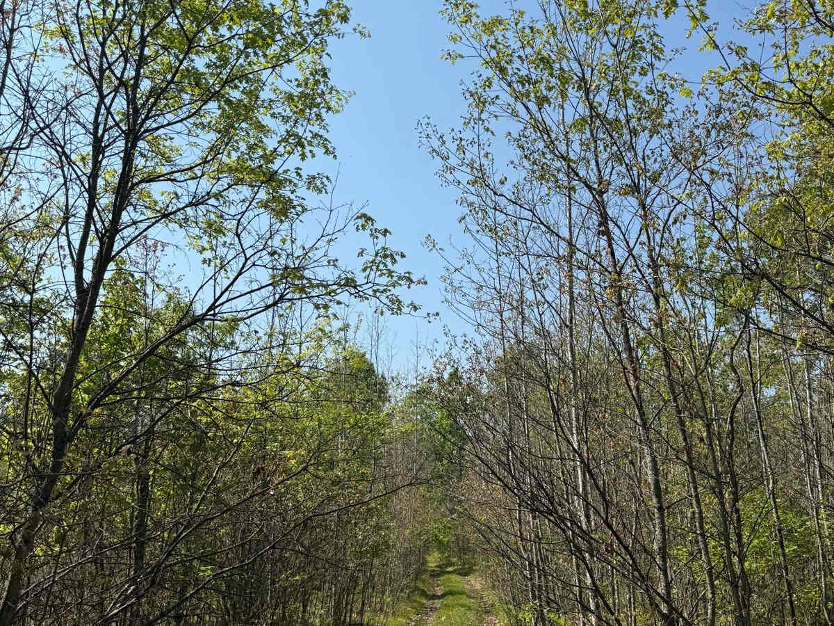 No. 2 West Trail trail photo
