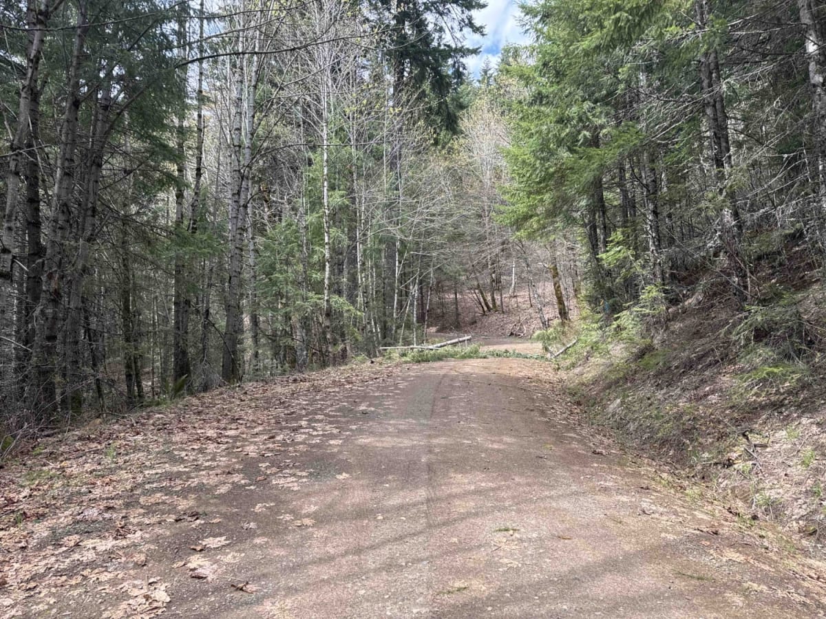 DNR N-4000 Road photo 3