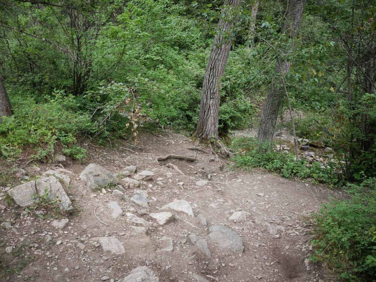 Middle Cottonwood photo 2