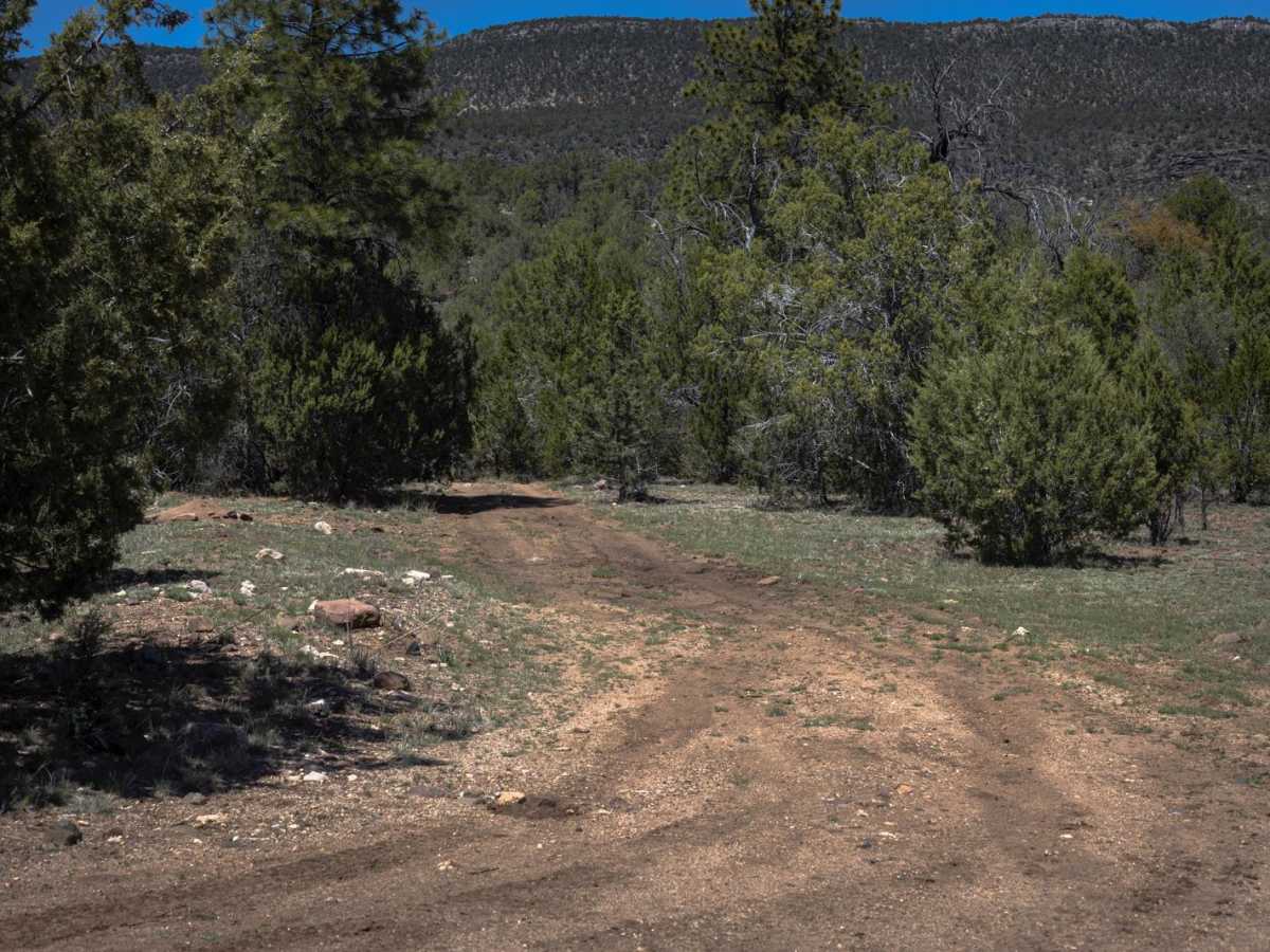 Lee Spring trail photo