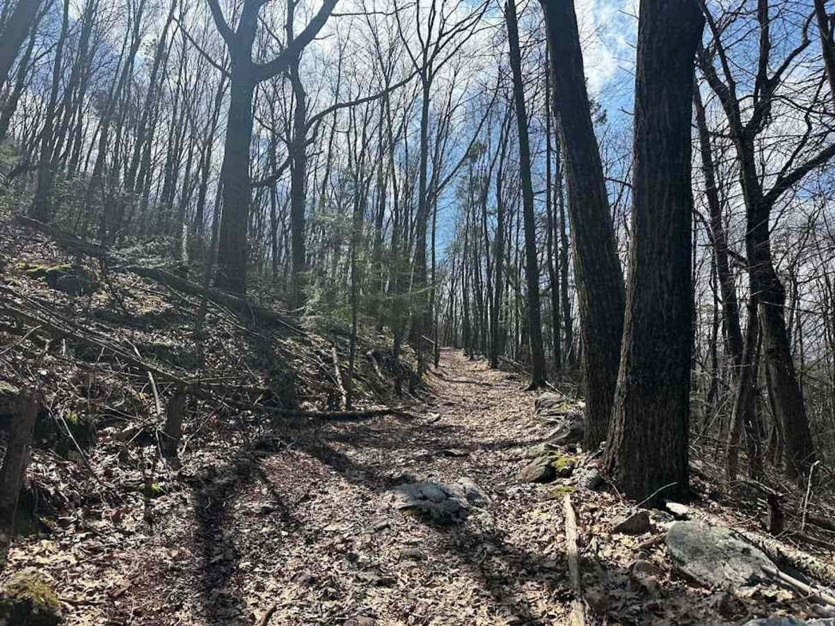 Ashland 123 photo 5