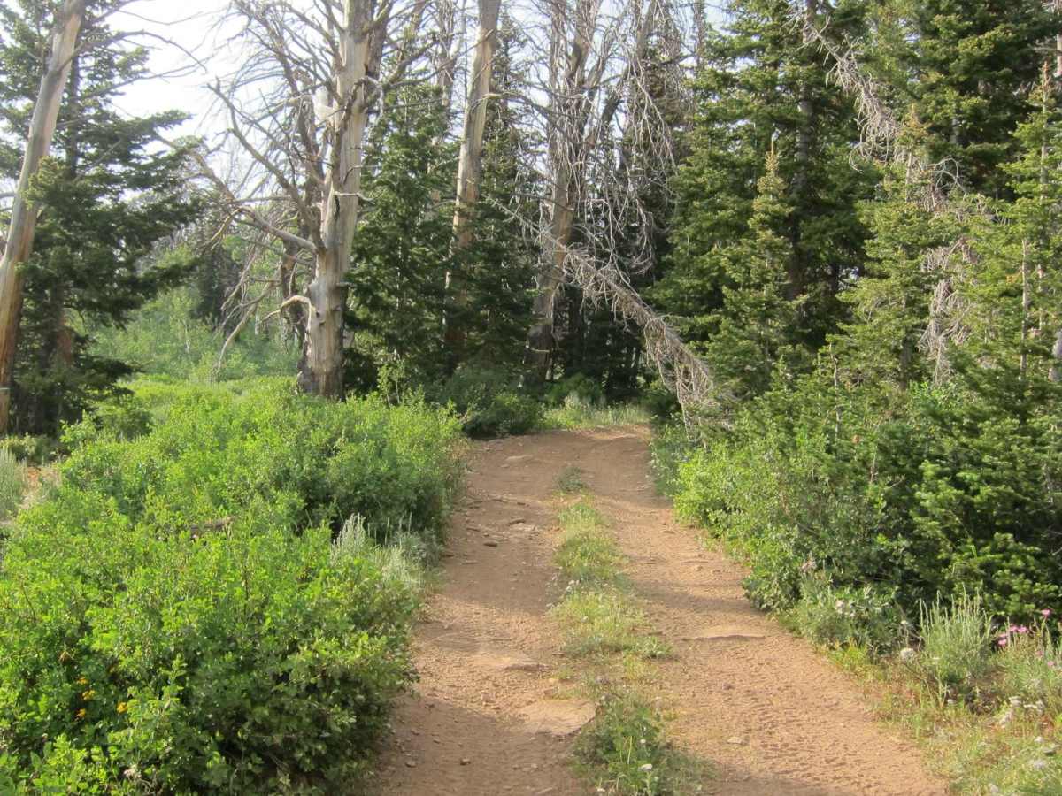 Church Hollow Trail photo 2