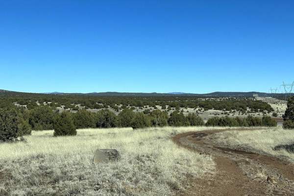 Mongollon Mesa Trail (9D)