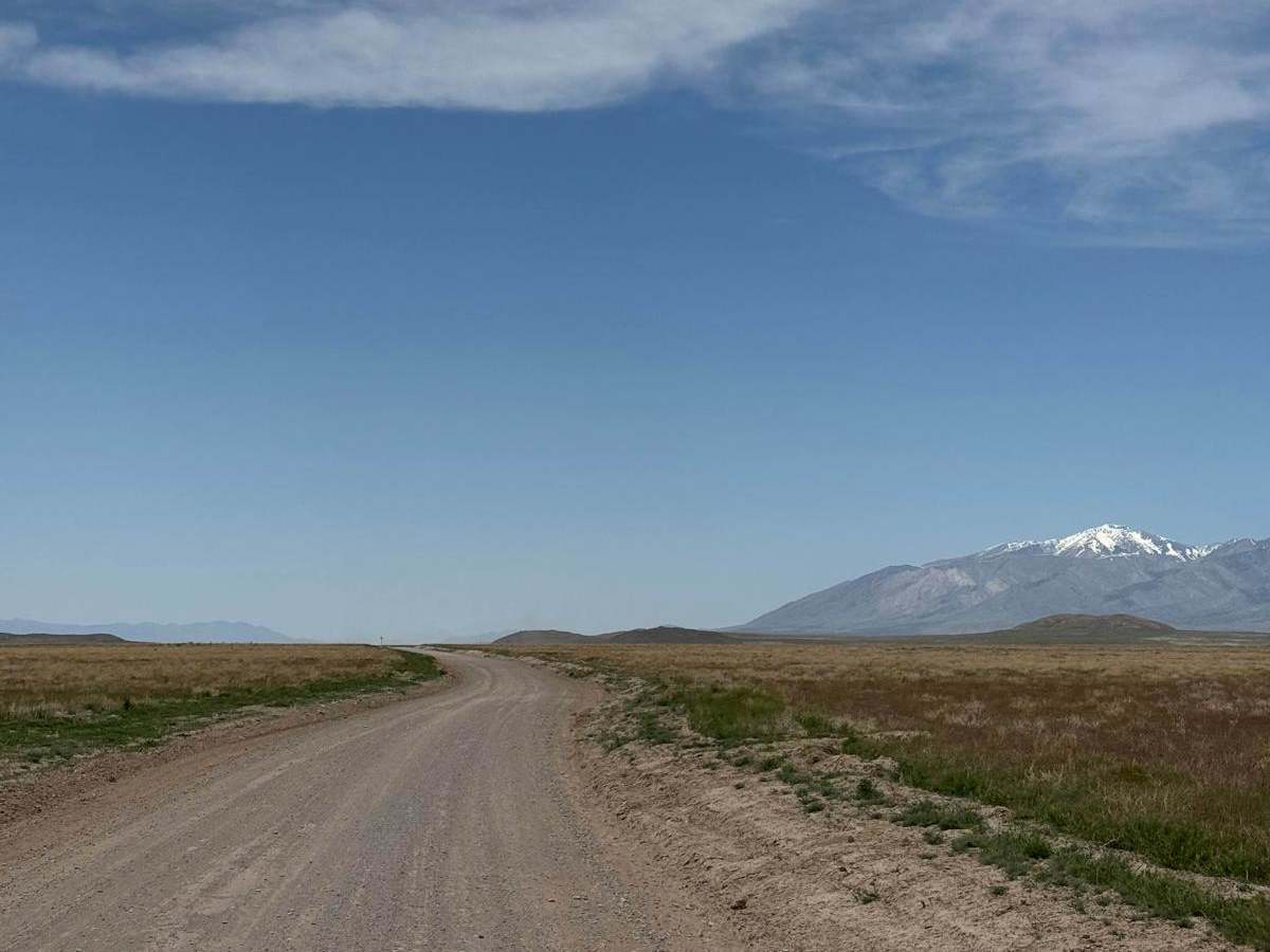North Erickson Pass Road photo 2