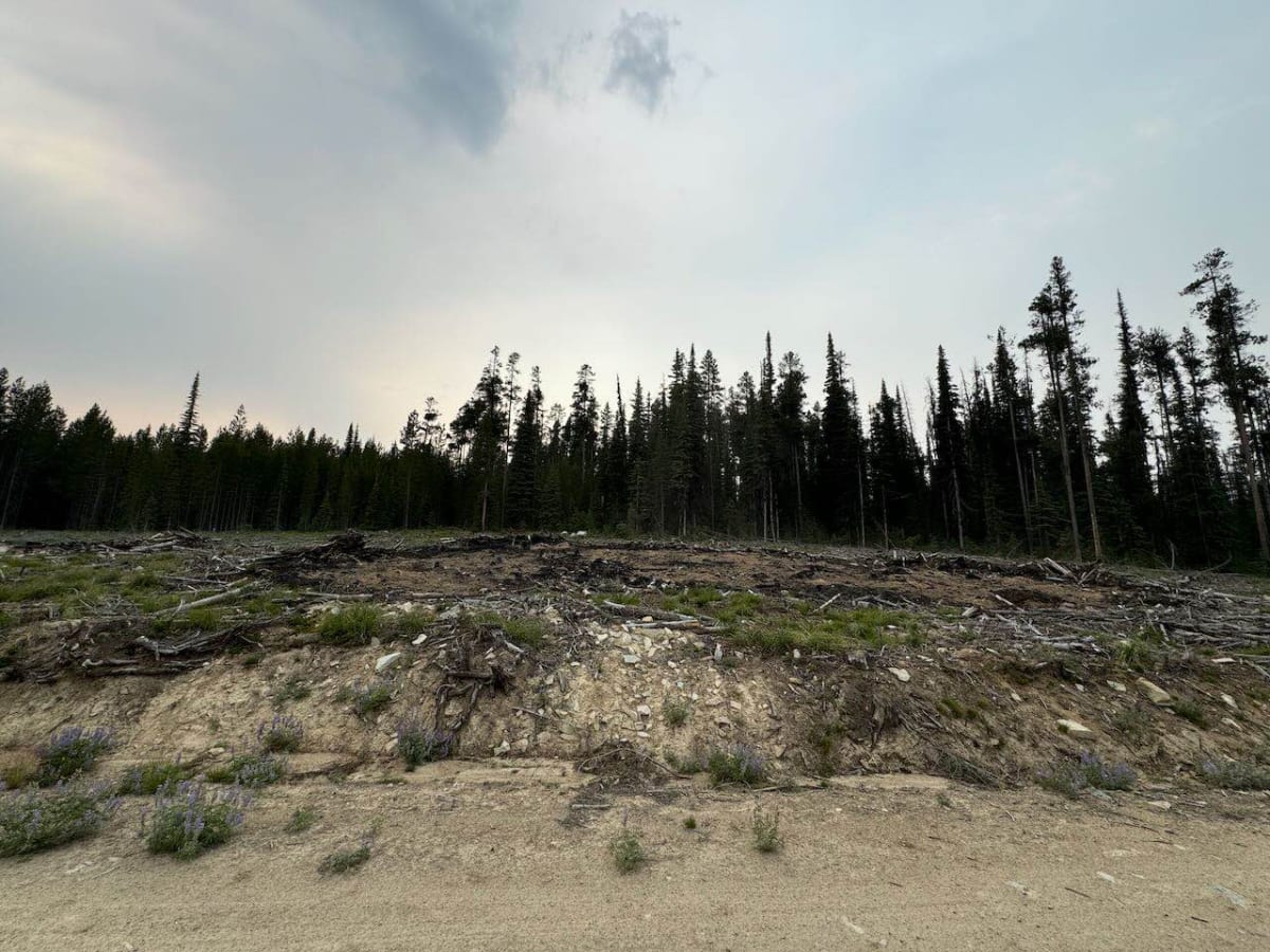 Gibbons Pass photo 3