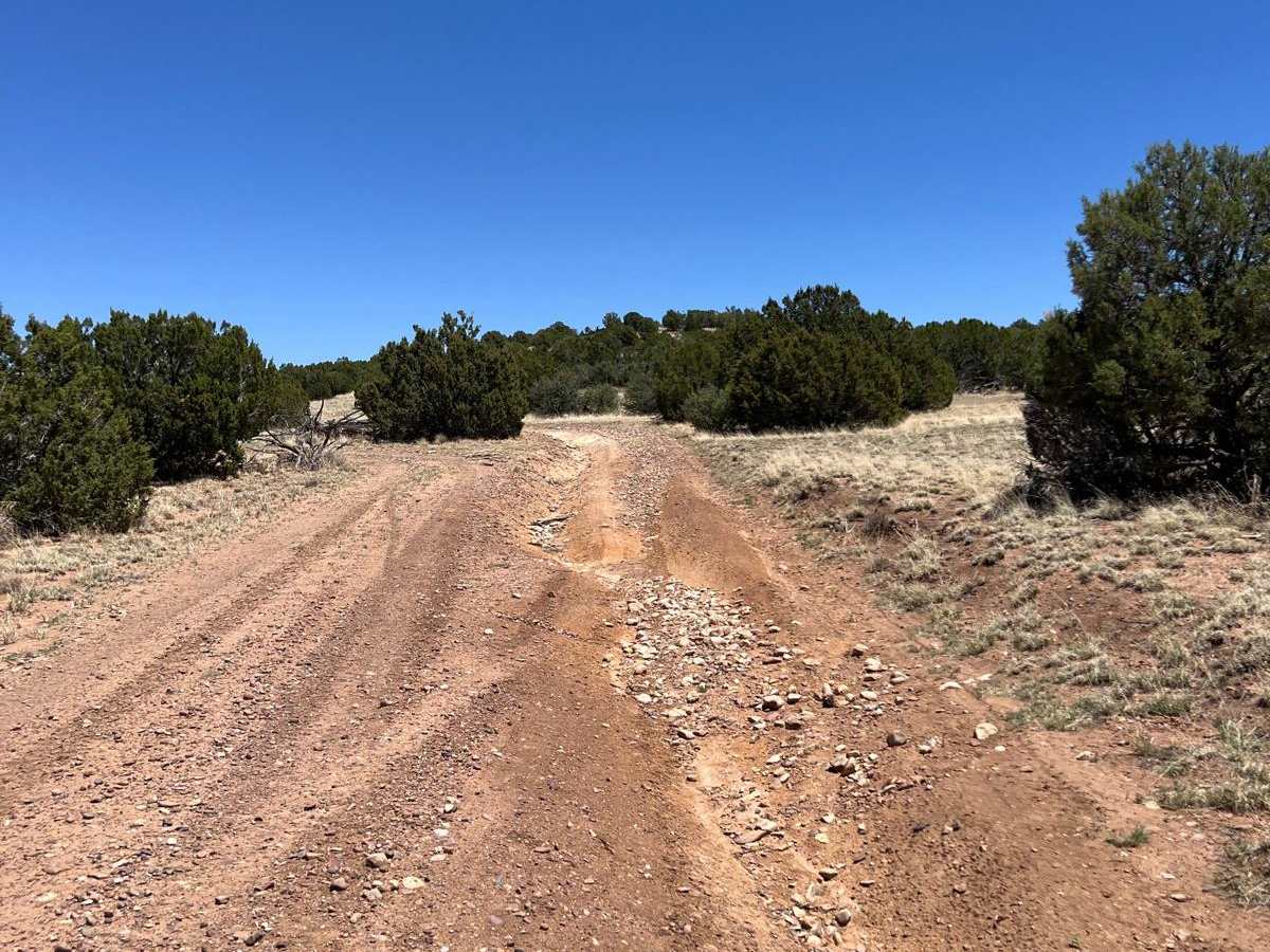 Red Dirt Road photo 3