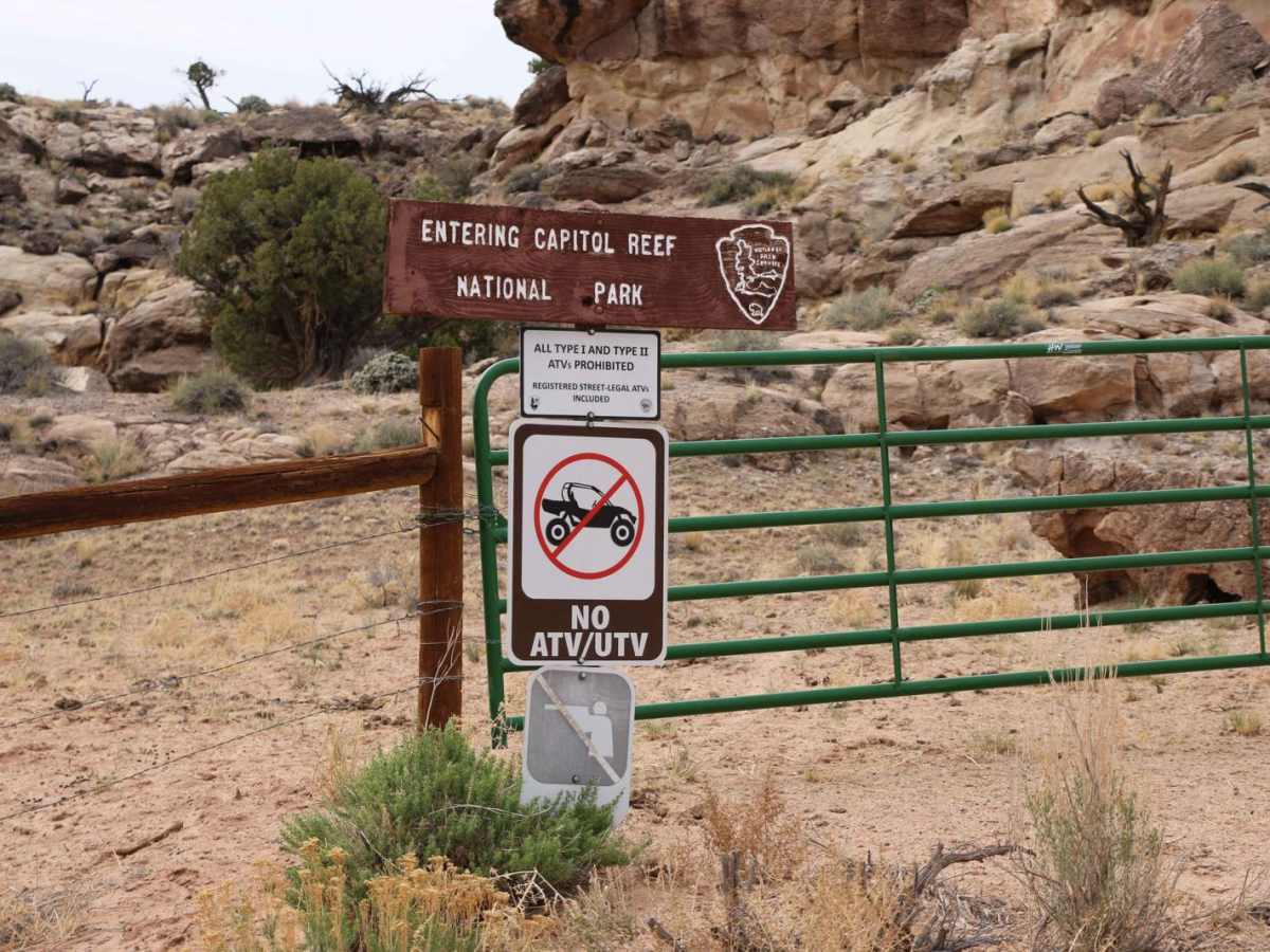 Lower South Desert Overlook photo 3