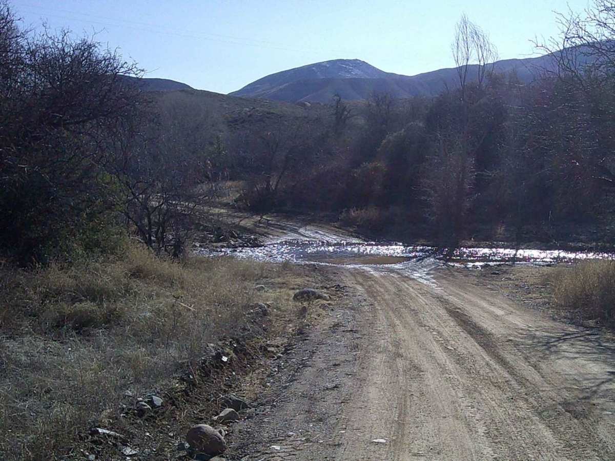Grapevine trail photo