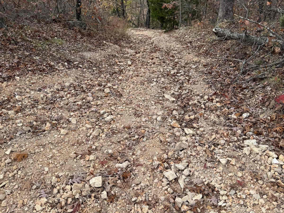 Green 201 trail photo