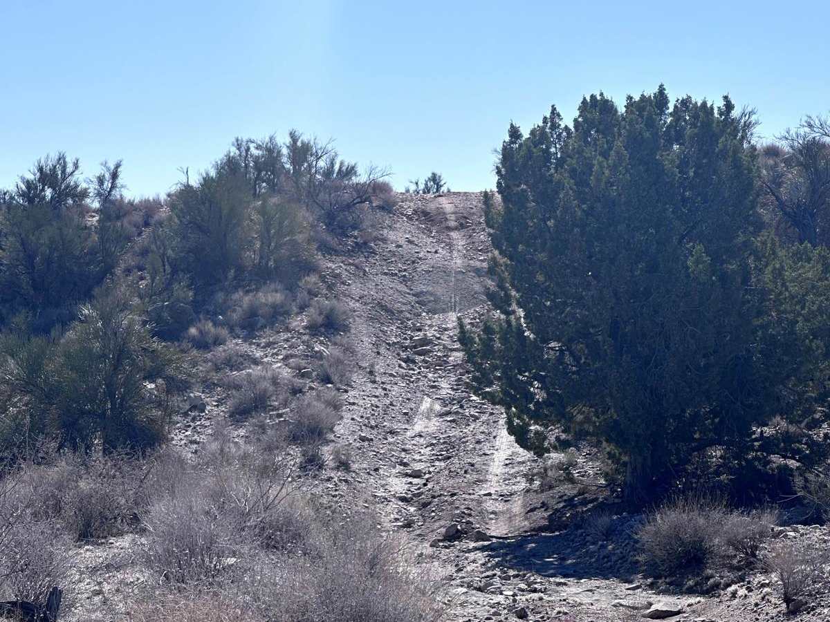 Leviathan Mine Trail photo 3