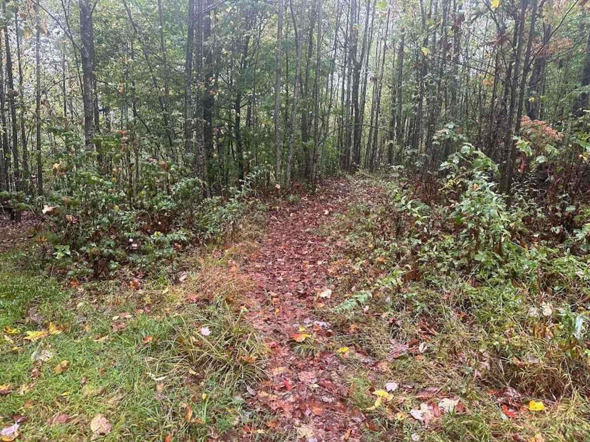 189 Single Track photo 4