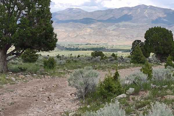 Cottonwood-Bullion Interconnect Trail to Hwy 89