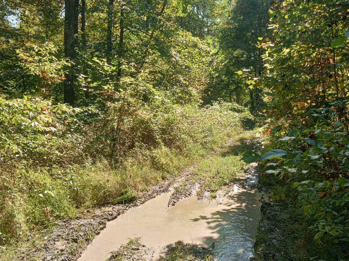 Brady Road photo 3