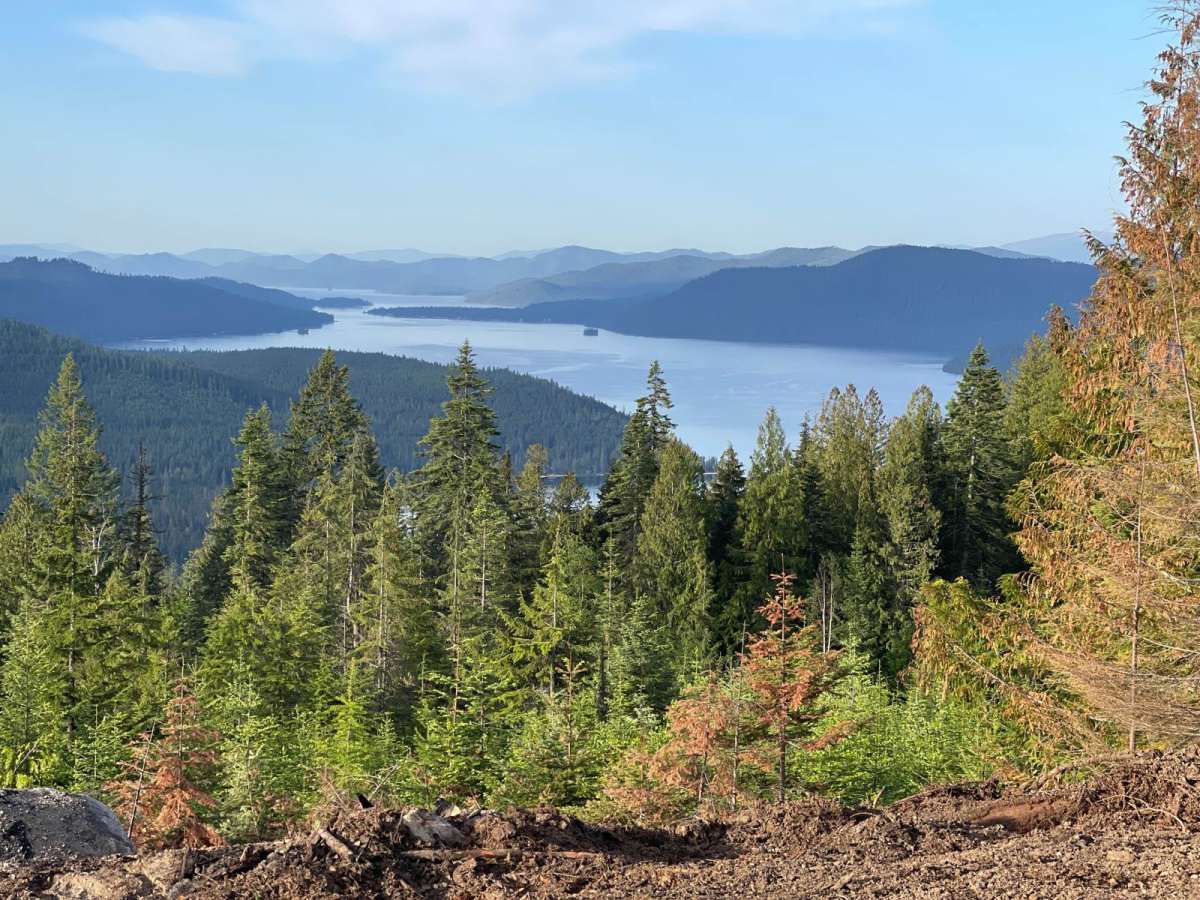 Lucky Creek Road photo 6