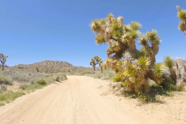 New Dixie Mine Road - BLM C2330