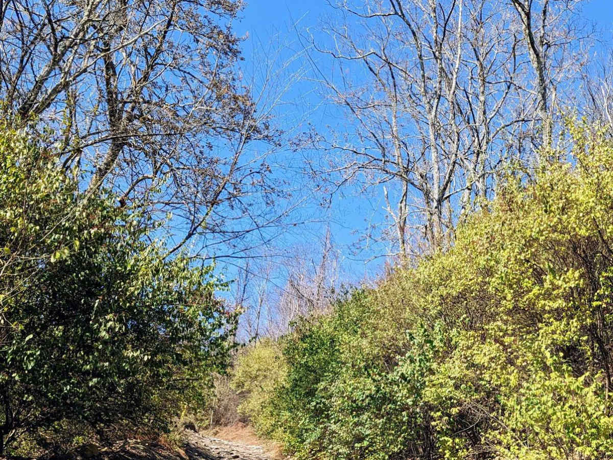 Trail 43 photo 2