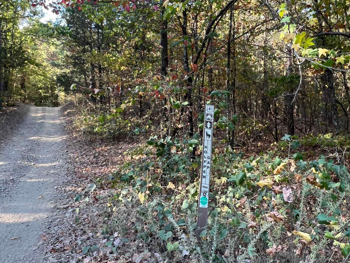 Forest Road - N09A photo 5