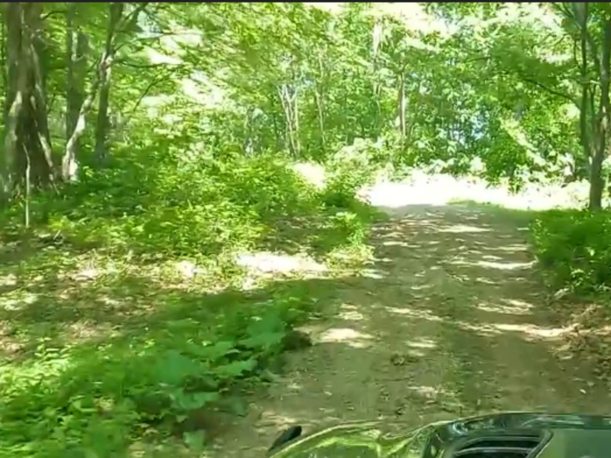 Shaws Fork photo 5