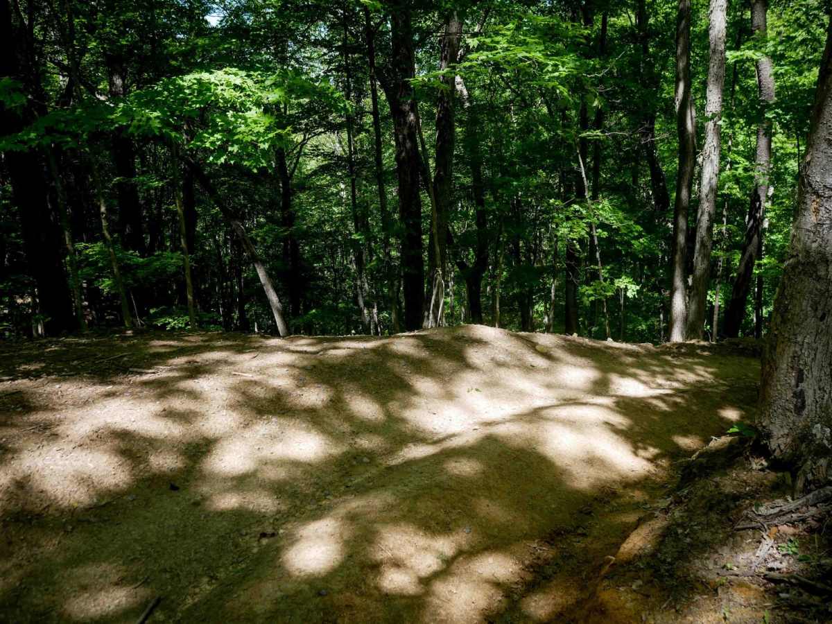 Trail 24 photo 2