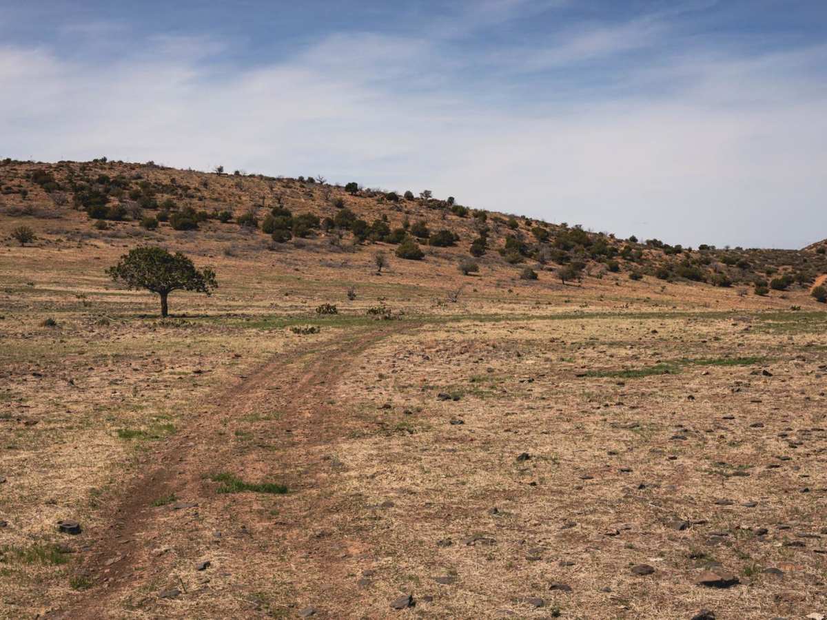 Long Gulch photo 2