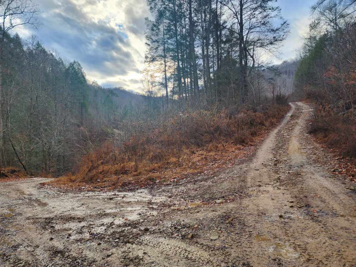 Emily Creek photo 4