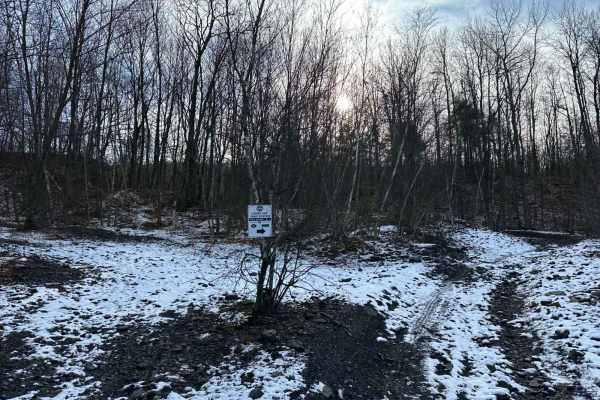 Locust Gap 5