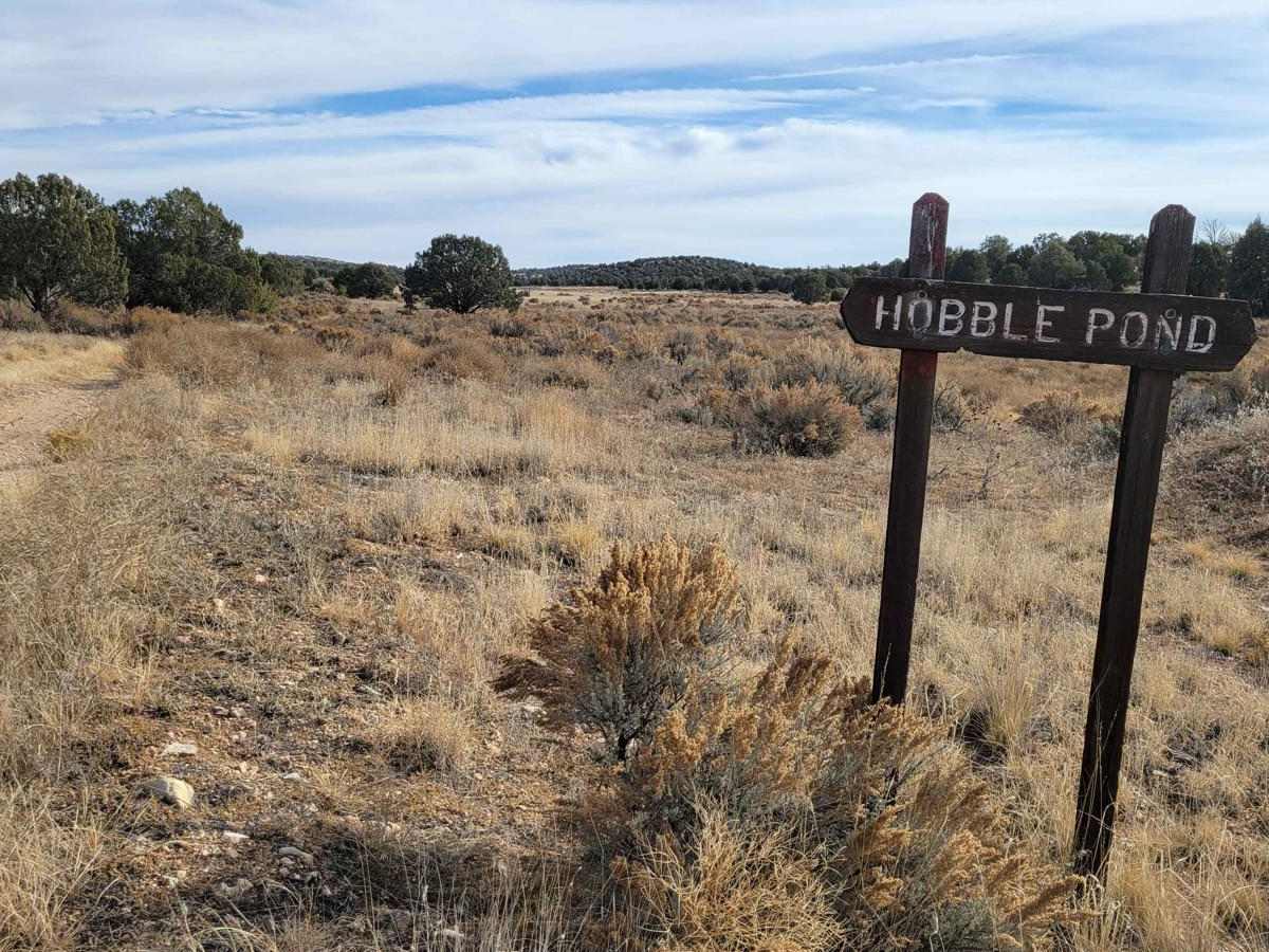 BLM Road 1620 photo 5