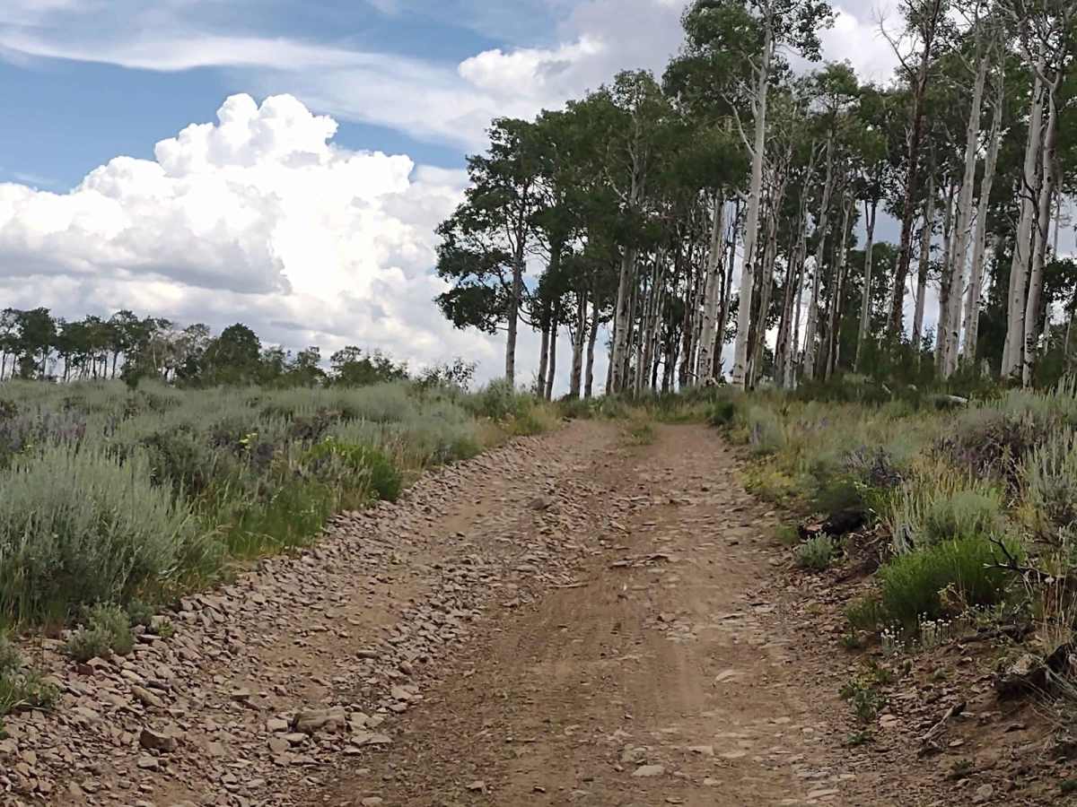 Dry Creek-Box Creek Interconnect (FS 41233) photo 2