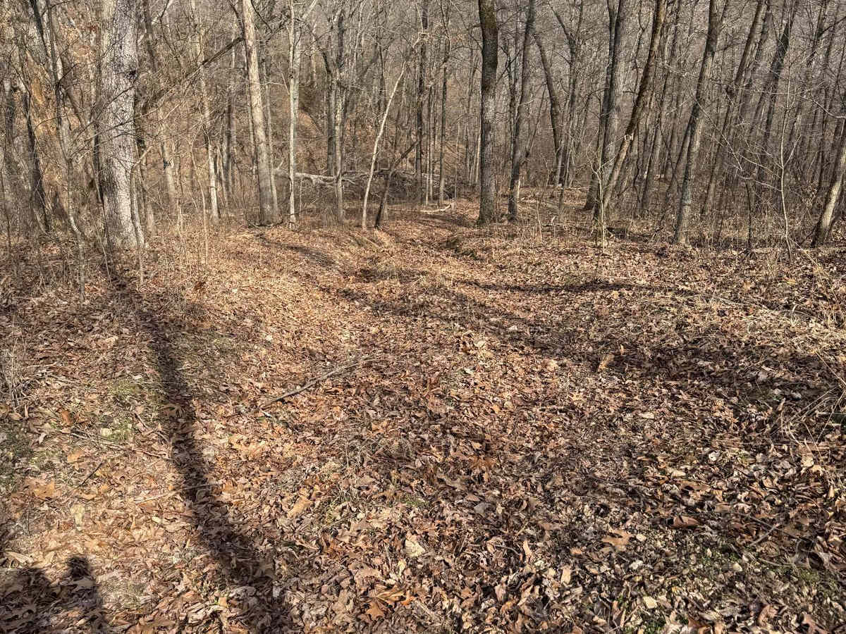 Yellow 427 trail photo