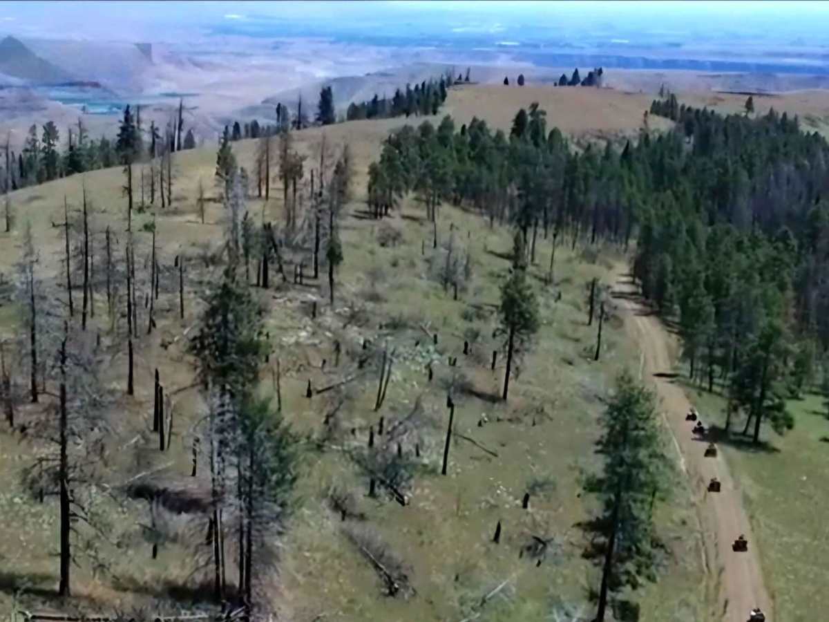 Naneum Ridge photo 5