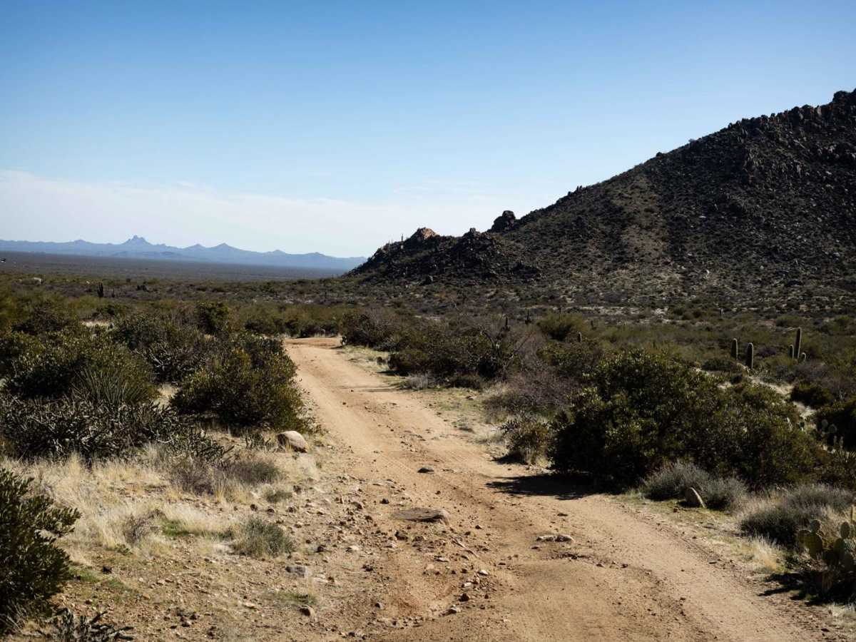 Echo Wash photo 5