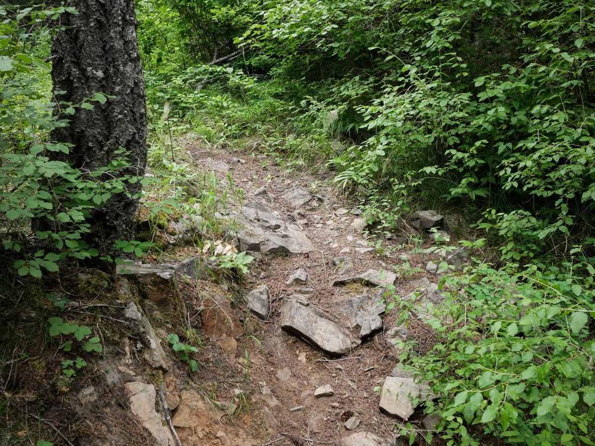 Turner Peak trail photo