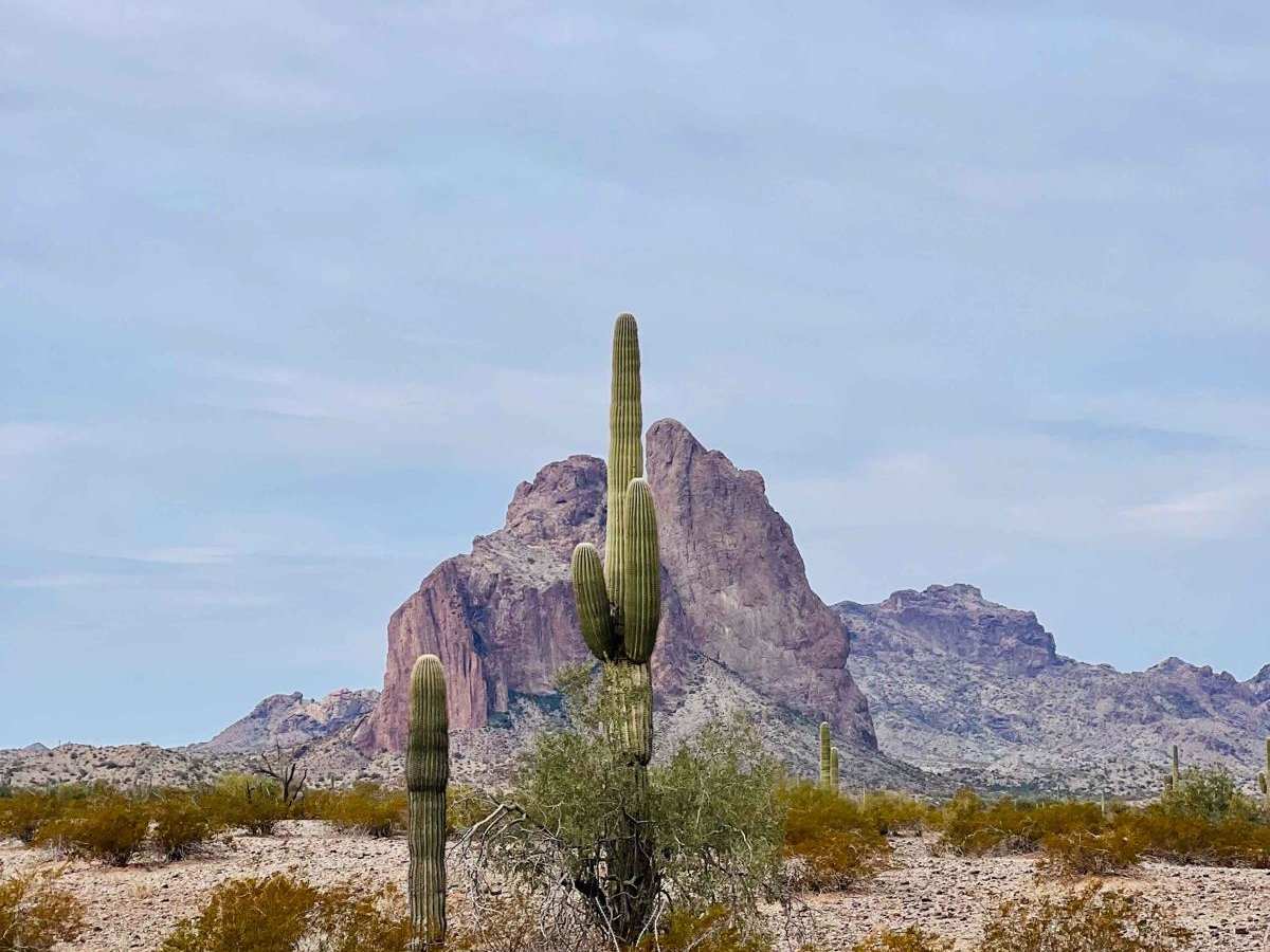 East Courthouse Rock photo 6