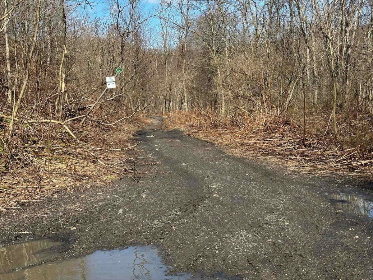 Locust Gap 46 trail photo