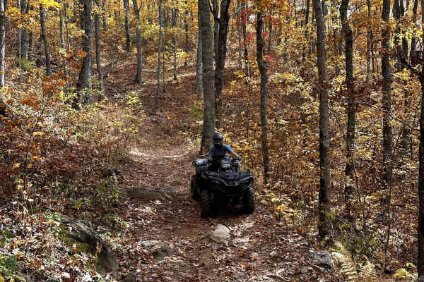 Trail 1 - Wayehutta Loop