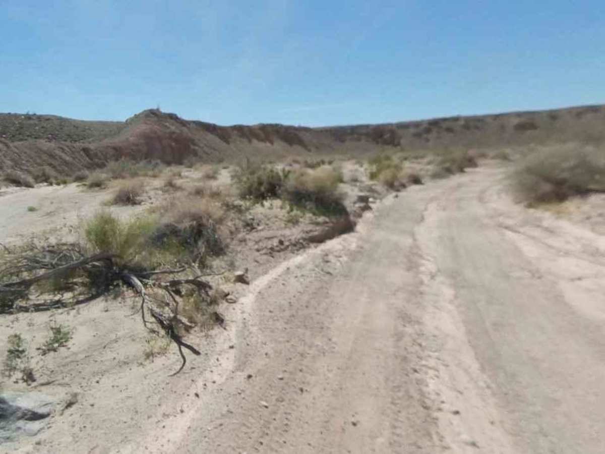 North Fork Palm Wash photo 5