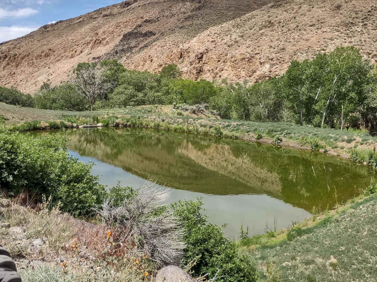 Manning Creek Canyon (FS# 42000) trail photo