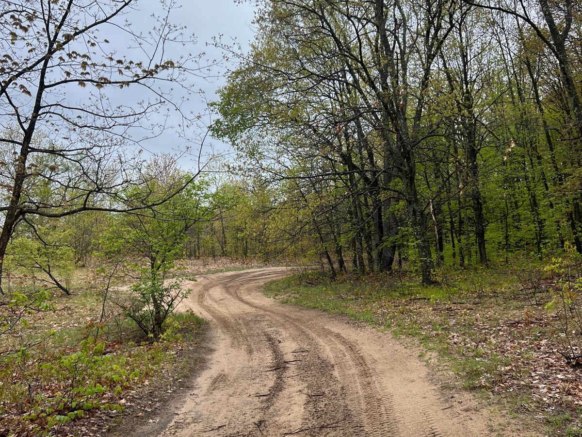 No. 10 Road Trail photo 3