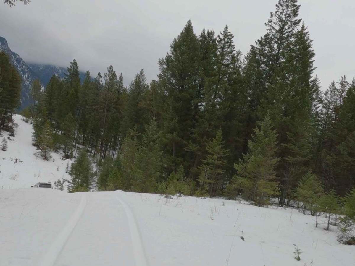 Horseshoe Lake, Loop photo 3