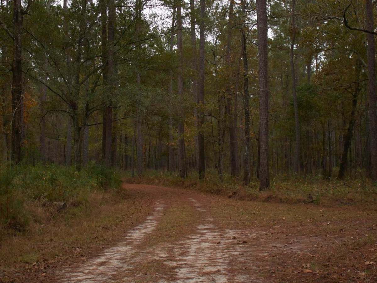 Donnelly WMA PT.6 photo 4